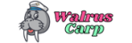 Walrus Carp
